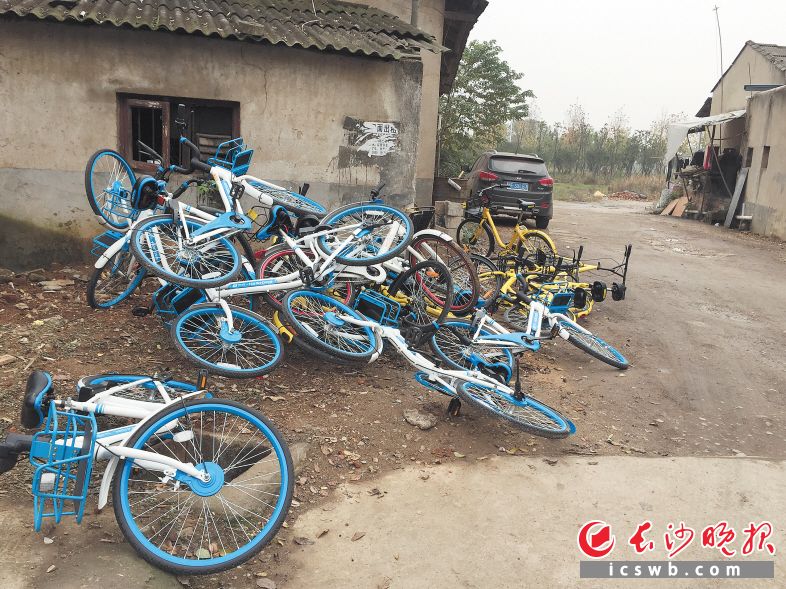 长沙大批共享单车被遗弃等待救援