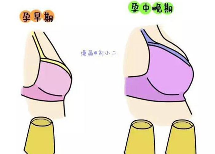 怀孕就要护乳房孕妇乳房疼痛怎么办