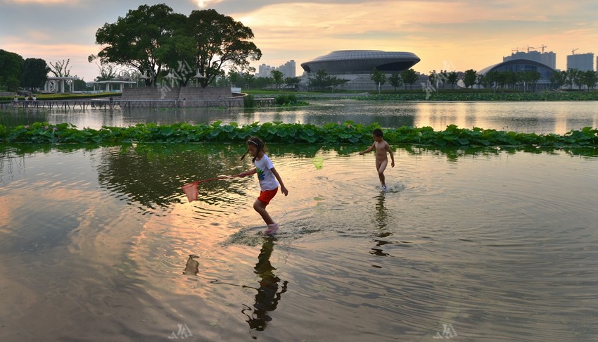 2017年7月12日,江苏昆山市,两孩童在浅水区嬉戏.