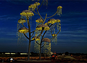 印度第二大公共艺术装置亮相古吉拉特邦