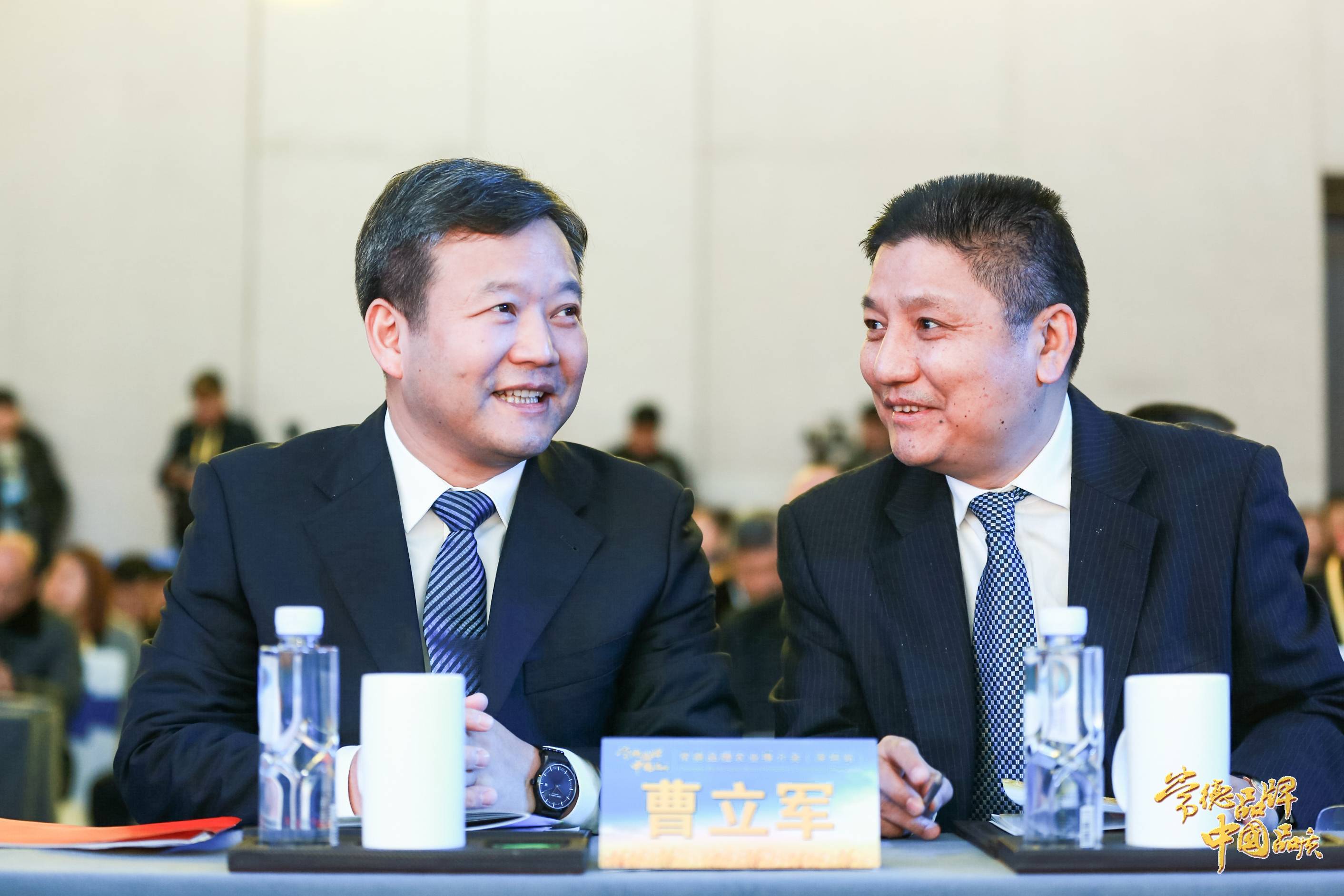 市委副书记,市人民政府市长曹立军,常德市委常委,市委统战部部长陈华