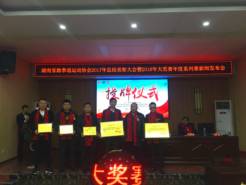 新体育 新梦想！2108湖南跆拳道大奖赛系列赛启动