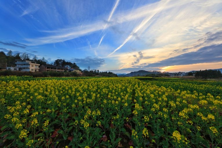 2月23日,冯京春拍摄于永州市祁阳县黄泥塘镇搭洲村.
