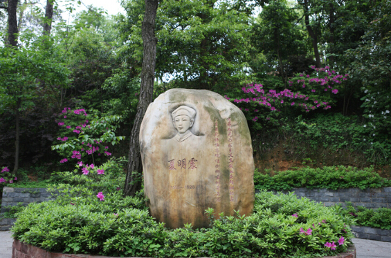 夏明震：他是夏明翰的弟弟，革命道路的勇斗士！