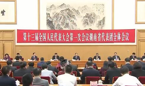 湖南代表团举行第二次全体会议 胡春华王岐山参加审议