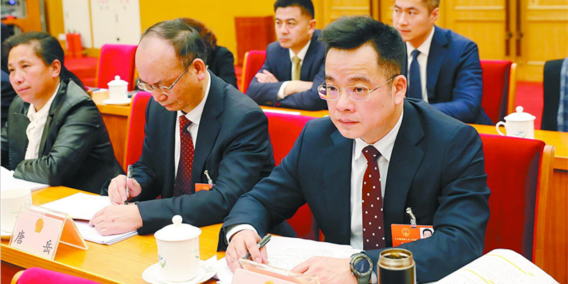 湖南代表团代表认真审议政府工作报告