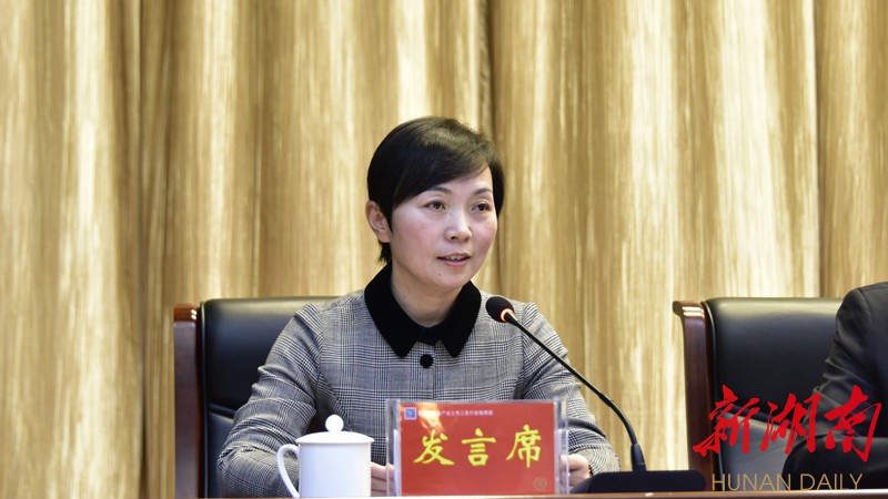 常德市政府副市长杨成英代表商贸服务与金融专项小组发言.