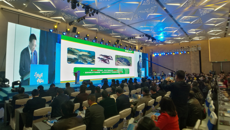 营造助企惠企护企浓厚氛围 常德开展产业立市·暖企行动