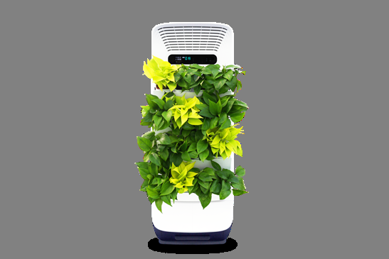 空气净化器也有新科技!森境智能植物净化器引观众关注