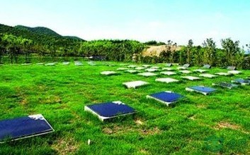 免费生态葬认领报名启动 长沙：为困难群众提供殡葬保障