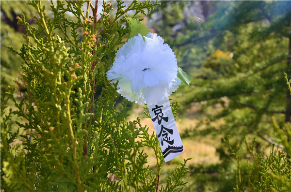 图为朵朵白花寄哀思.摄影:王闯