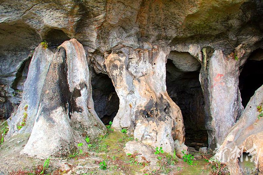 旅游丨曾是土匪窝?零陵区发现大型溶洞群