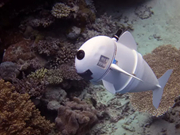 MIT 发明了一种机器鱼，它可以在 15 米水下游 40 分钟