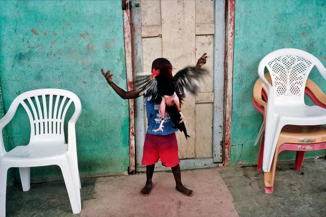 马格南摄影大师alex webb:色彩街头