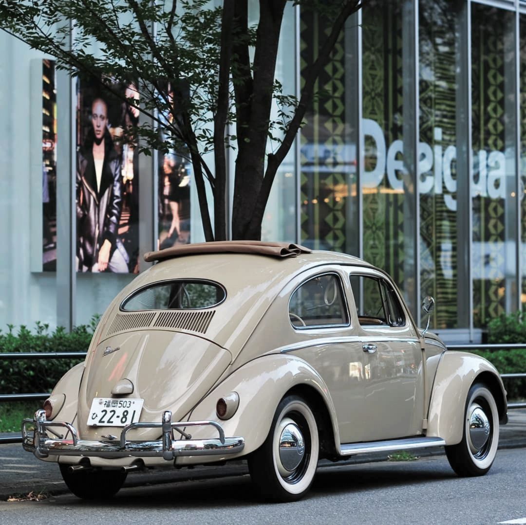 博物| 甲壳虫就要停产了,但不能停止人们对它的迷恋-新湖南
