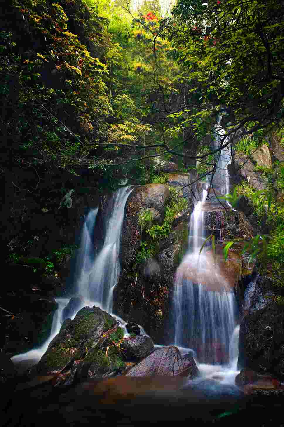 龚普林摄于浏阳大围山.