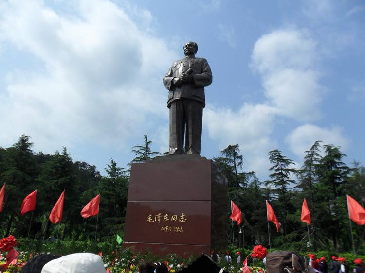 一束鲜花一腔怀念 免费鲜花祭伟人 清明韶山菊花香
