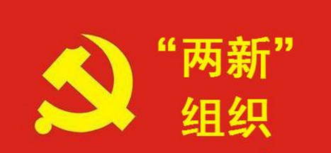 韶山：实施“五心”工程 助力“两新”党建