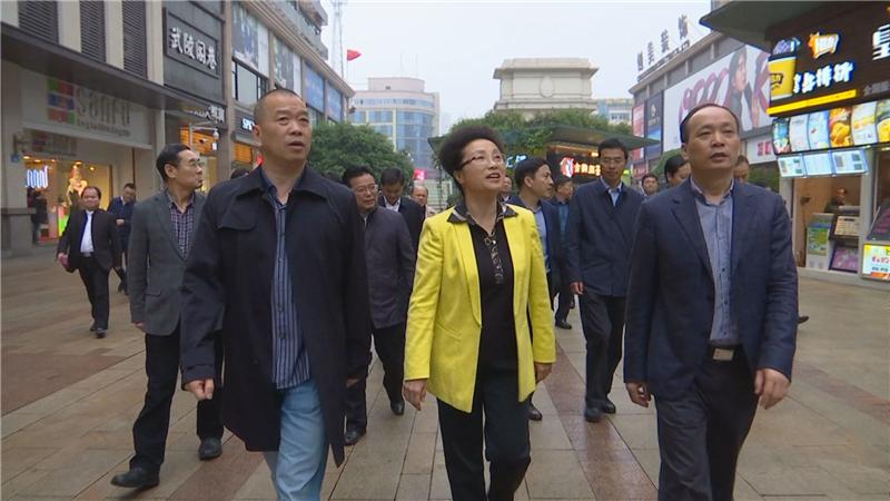湘西土家族苗族自治州党政领导考察团考察武陵阁步行城