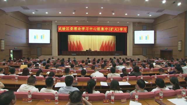 武陵区委理论学习中心组集中（扩大）学习