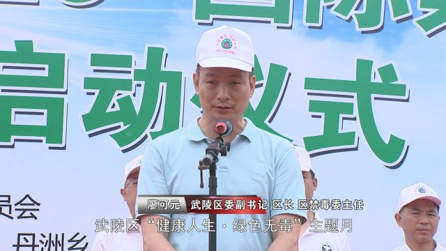武陵区“健康人生·绿色无毒”主题宣传月活动启动