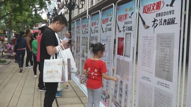 武陵区学校艺术教育教学成果丰硕