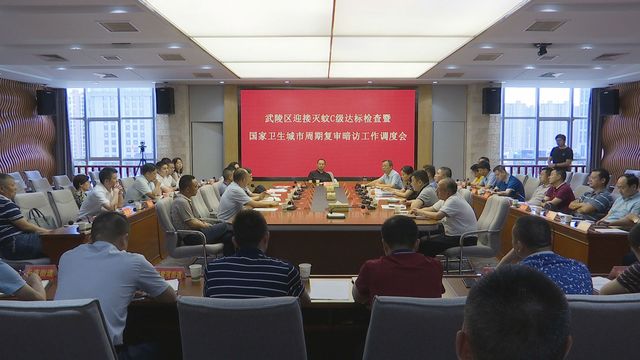 武陵区调度灭蚊C级达标及国家卫生城市周期复审暗访工作