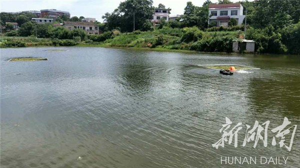 韶山：治理黑臭水体 再造碧水蓝天