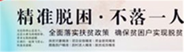 最美扶贫干部专题