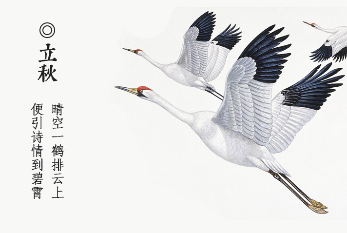 晴空一鹤排云上,便引诗情到碧霄.自古逢秋悲寂寥,我言秋日胜春朝.