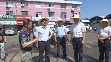 朱水平督导武陵区国家卫生城市复审工作