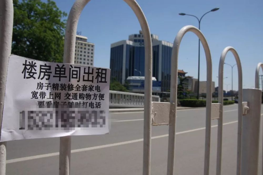 相比房价上涨房租上涨更让人心痛 机构推高租金？