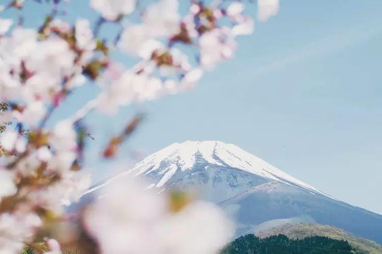 富士山下 5处私享富士山温柔风光的温泉酒店