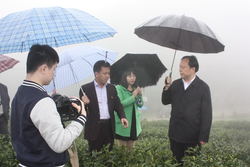 省人大副主任周农在塔山谷佳茶业视察