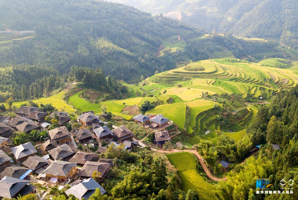 图为8月21日无人机拍摄的贵州省从江县金秋梯田景色.
