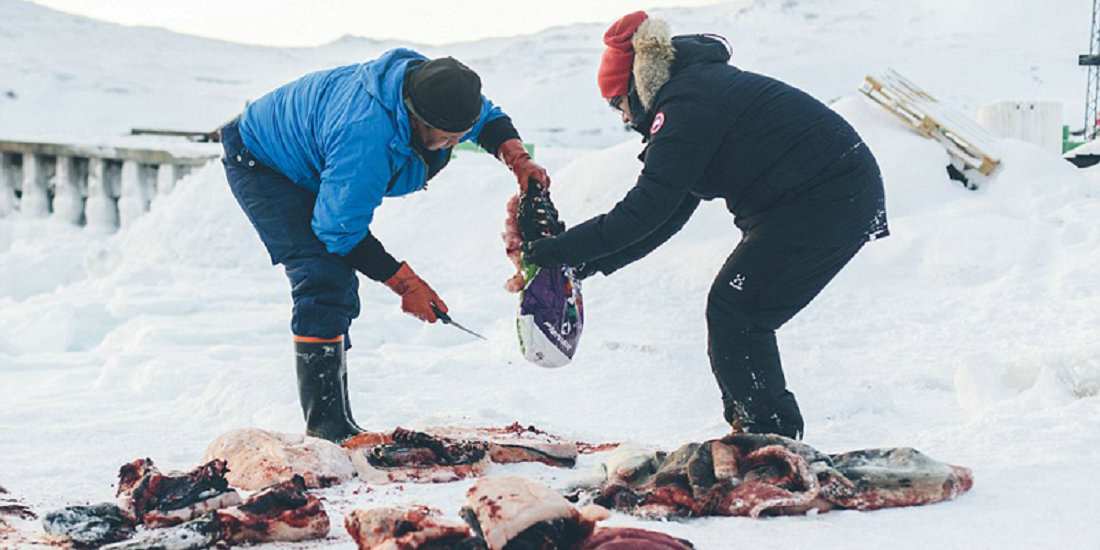 法国一名摄影师拍摄了格陵兰岛上因纽特人捕杀海豹的生活画面.