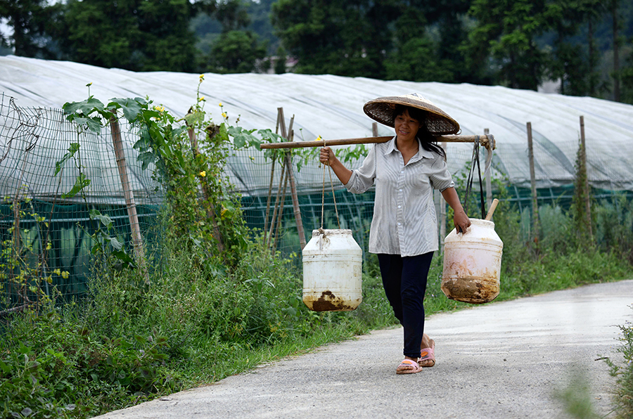 一名农村妇女的"脱贫梦"