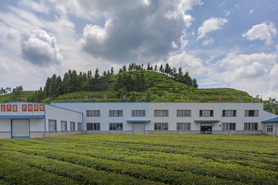 茶叶加工厂 厂房图片