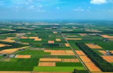 湖南11个乡镇入选2018全国农业产业强镇示范建设名单