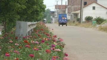 芦荻山乡：鲜花夹道 五彩缤纷
