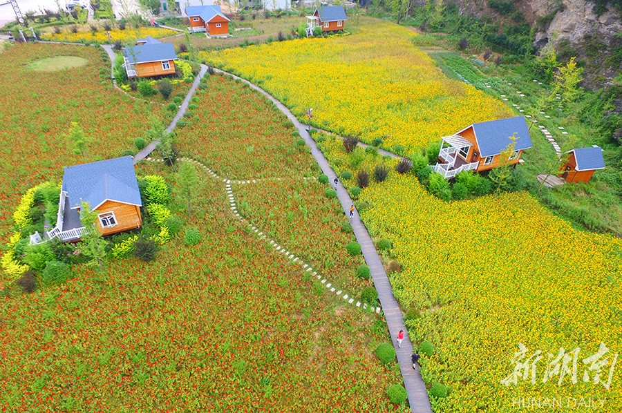 洛南縣華陽老街·花溪弄景區佔地30畝,總建築面積28101平米,包含江南