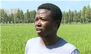 喀麦隆留学生楚柯：学做现代非洲农民