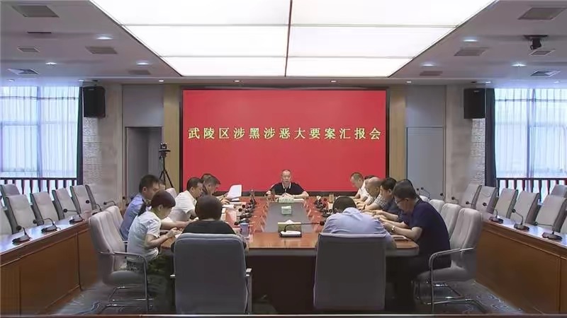 莫汉桃：思想高度统一 严打黑恶势力