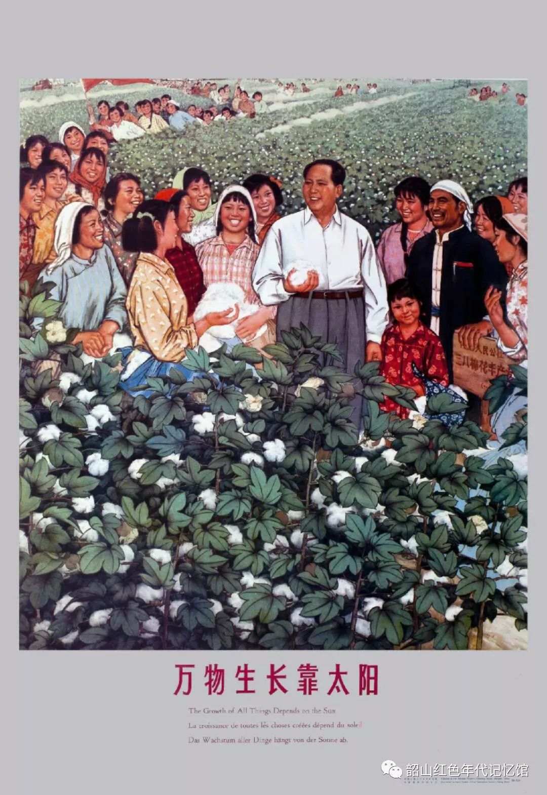 年画丨丰收图里好年景——画说中国农民的丰收情结