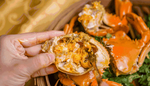 但是螃蟹有以下部位是不能吃的: 蟹胃:俗称蟹和尚,蟹尿包.蟹胃在哪儿?