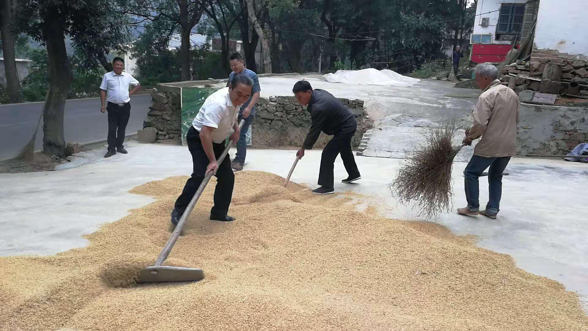韶山乡：干部走访顺手帮，低保户解忧心里暖