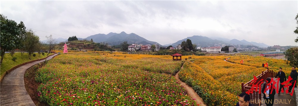 泸溪县浦市镇马王溪村的四季花海