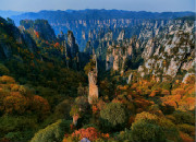 Autumn scenery of Zhangjiajie