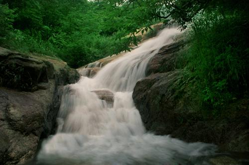 遗世独立的高山湿地，藏着湘江的“第一滴水”