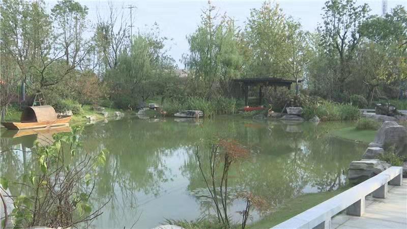 芙蓉公园部分展区已向市民开放 项目建成后将成为江北城区最大城市公园